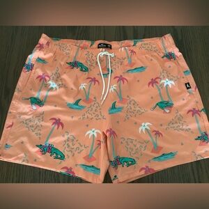 MINT HOLLISTER SWIM SHORTS XXL
MULTI COLORED